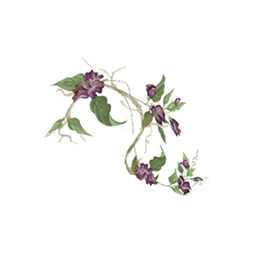 Rosco - Purple Flowers - 1250px