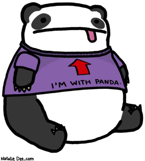 panda google update