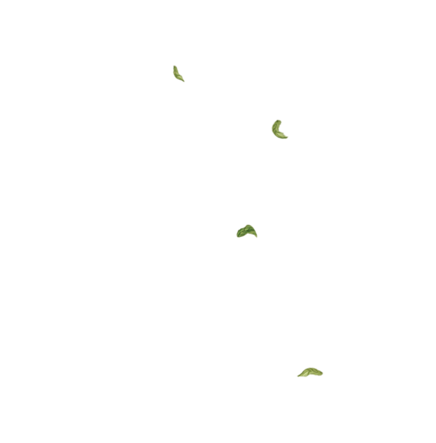 Copy of 33% column (right) art template (tall) (1)